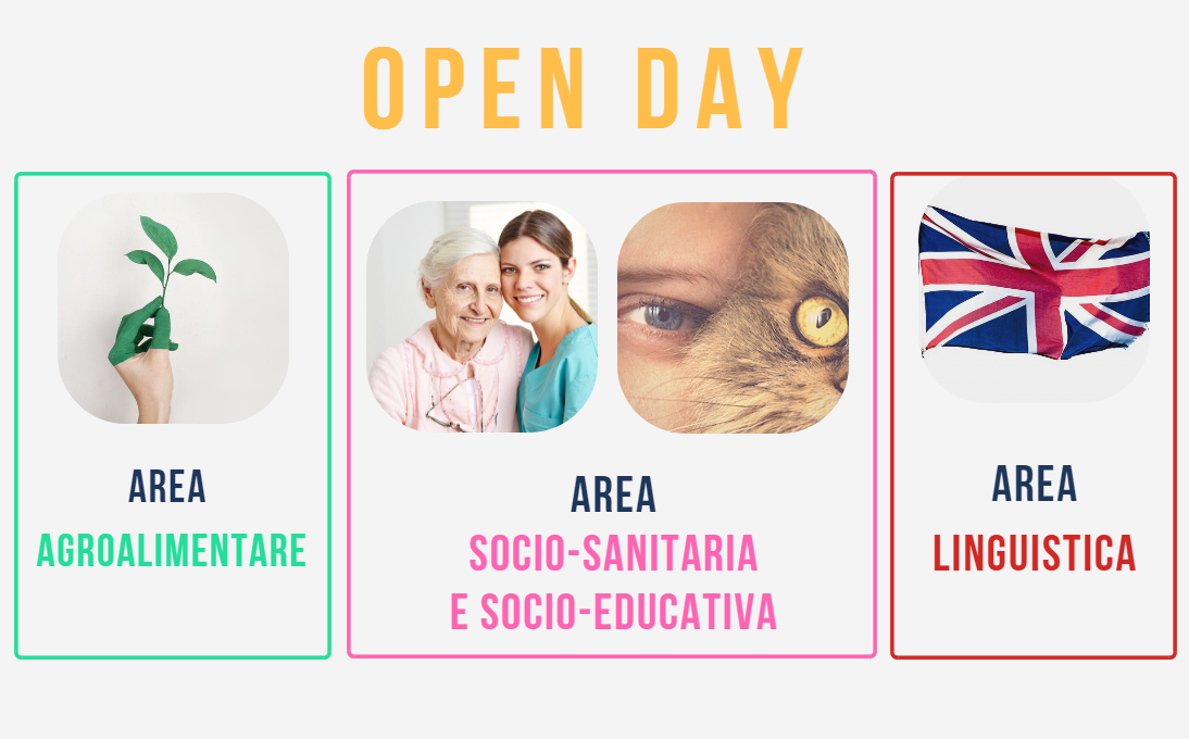 Open Day a Forlì: presentazione dell’offerta formativa